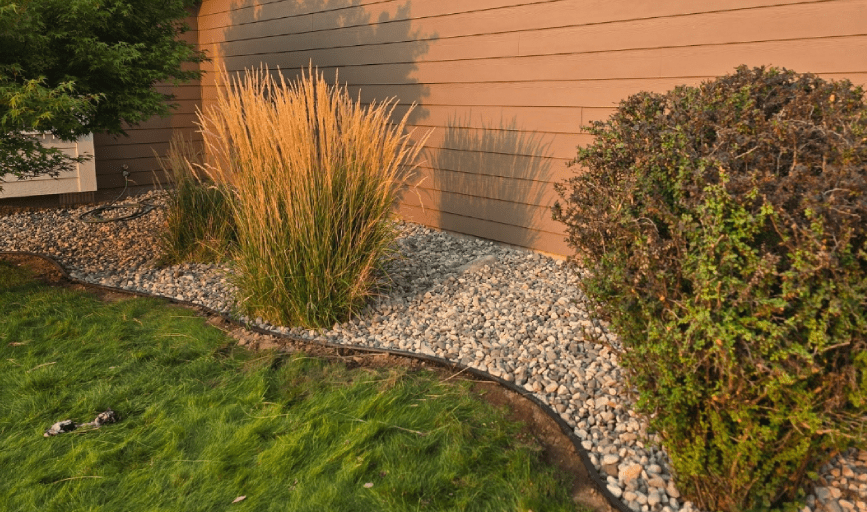 Ornamental grass and stone landscaping beside a home